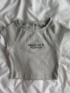 Zara Grey Crop Top Tee Baby Tee